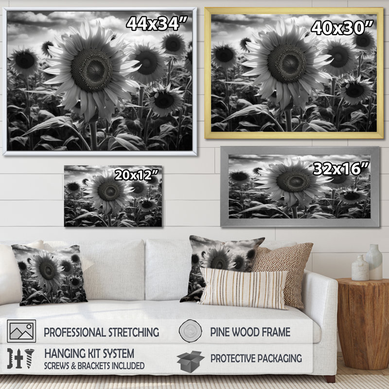 Tournesol noir et blanc I, H 30 po x l 40 po x P 1,5 po, Toile tendue