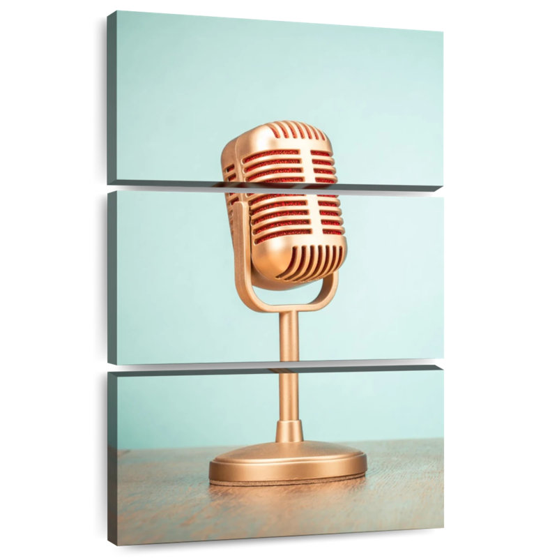 Microphone dynamique Abarca, H 57 po x l 36 po