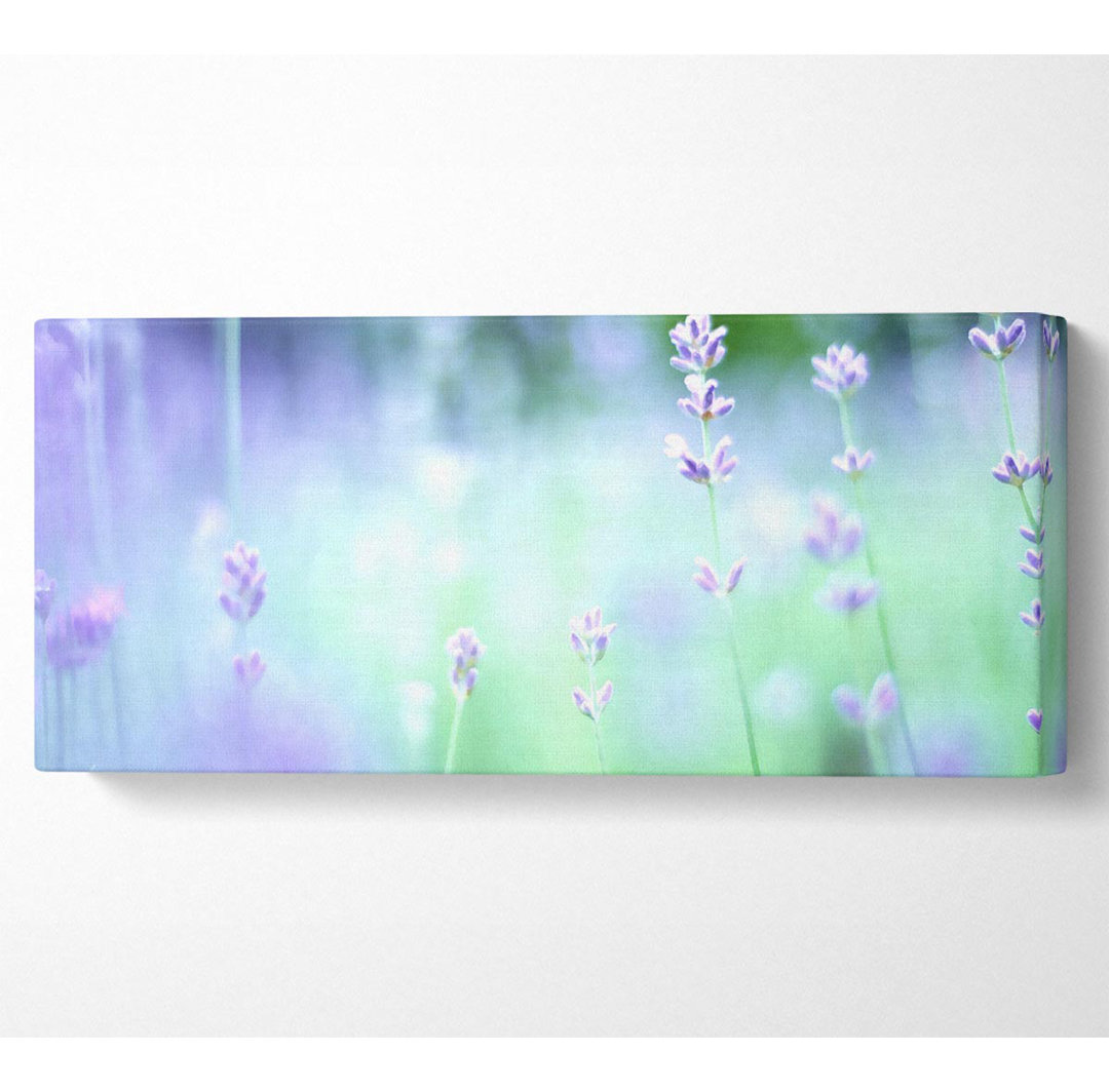 Weicher Fokus Kleine lila Blumen - Panorama-Kunstdrucke auf Leinwand - Wrapped Canvas