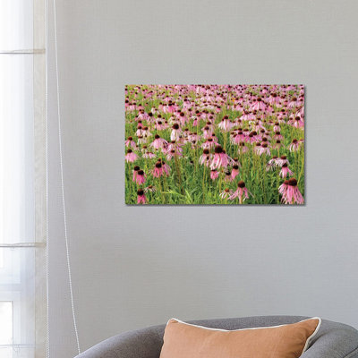 «Coneflower Bouquet» par Brian Wolf - photographie sur toile tendue