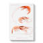 Shrimp Illustrations by Albert I - Wrapped Canvas Painting-55318602
