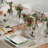 Anyston 20 Piece Porcelain China Dinnerware Set - Service for 4