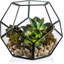 Terrarium en verre Providence-770215750