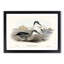 Little Blue Penguins by Elizabeth Gould - Picture Frame Painting Print-55580761-55580762