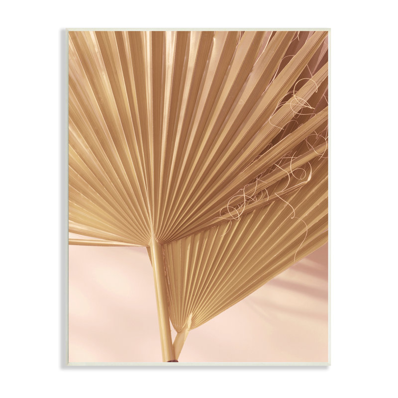 Deux feuilles de palmier, photographie de plantes tropicales blanchies au soleil par Ian Winistanley, Bois