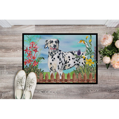 Non-Slip Outdoor Doormat