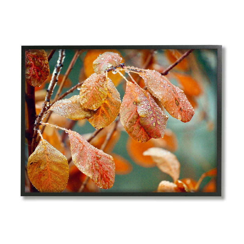 «Autumn Tree Leaves Water Droplets Fall Foliage» par Gail Peck - photographie sur toile flottante