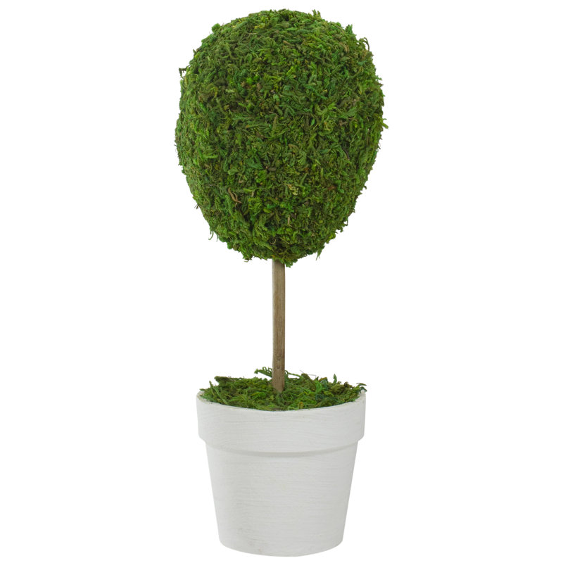 Arbre topiaire vert en forme de boule de renne verte, H 13,75 po x P 5,5 po