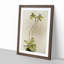 Magnolia Flowers Illustration Tab. 23 by Frederick Sander - Picture Frame Painting Print-55759159-55759160