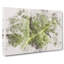 Paths of the Leaf Watercolour - Wrapped Canvas-56661904