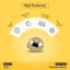 Bouton d'armoire rond Brixwell BXB374603, diamètre de 1-1 / 4 po, projection de 1-7 / 16 po, finition laiton poli