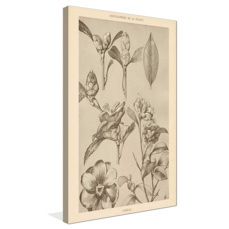 Lithographie de Florals II - peinture, L 18 po x H 30 po, Toile tendue