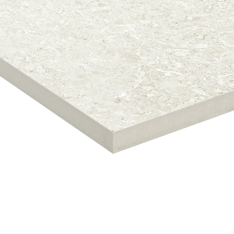 Carrelage de sol et de mur en porcelaine mate 24 po x 48 po Aldora