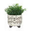 Ceramic Scribble Footed Planters, Beige - Eco-Friendly and Stylish for Indoor Plants
