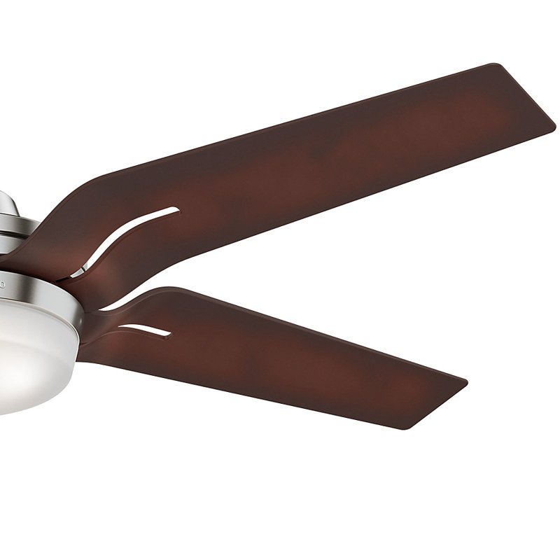 56" Correne 5 - Blade LED Standard Ceiling Fan with Remote Control and Light Kit Included, Coffee Beech