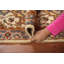 Tapis de couloir oriental ivoire 3x8