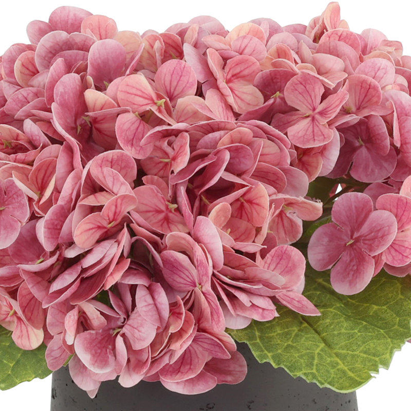 Real Touch Hydrangeas in Fiberstone Pot