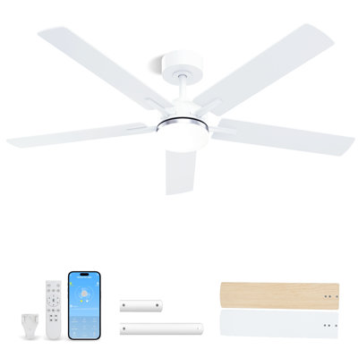 Ceiling Fan with Light, Modern Flush Mount Low Profile with Remote Control, Reversible, 3CCT Dimmable, Quiet,LED for Bedroom, Living Room, Indoor/Outdoor Patio Use 52 Inch Silver & White