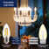 B11E26 60 Watt Equivalent B11 E26/Medium (Standard) Dimmable 2700K LED Bulb
