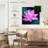 Lotus Blossom-109222292