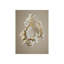 Shells On Champagne I Print by Sofia Fox-26943559-26943563