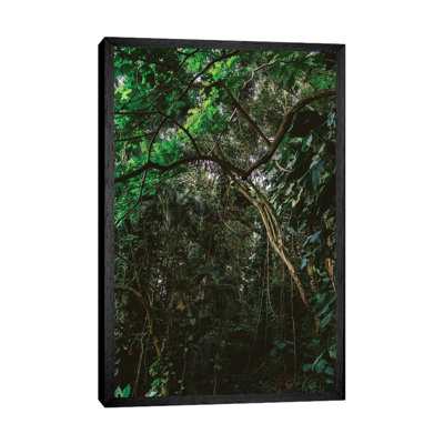 Hawaiian Forest by Bethany Young - Print on Canvas