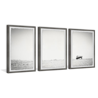 Euben A Lone Bison - 3 Piece Single Picture Frame Print