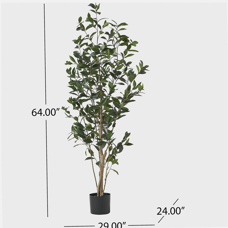 150Cm Artificial Laurel Tree, 64" H x 24" W