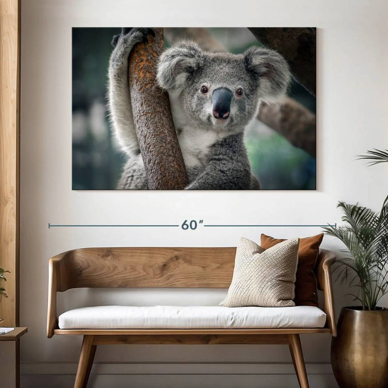 Brampt Happy Koala