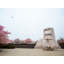 Memorial Of Dr. Martin Luther King Jr. Print by Scott Wurzel-65789053-65789051
