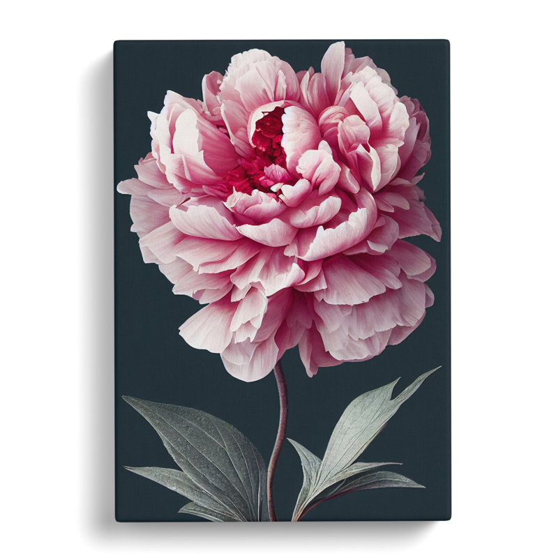 Pittsford Peony Flower Portrait - Wrapped Canvas, 50cm H x 35cm W x 3cm D