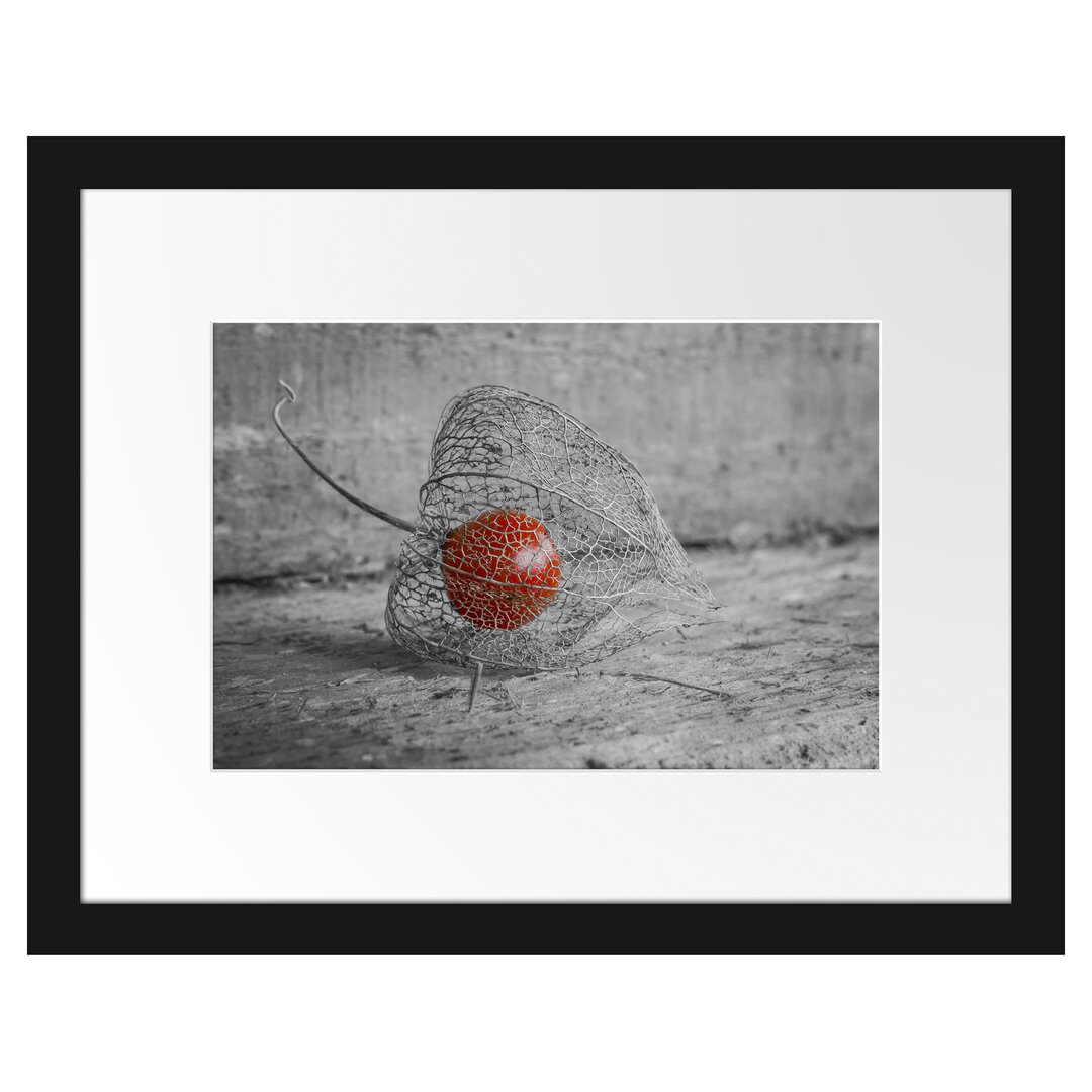 Gerahmtes Poster Leckere Physalis in Schale