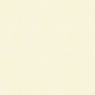 Basics Fabric
