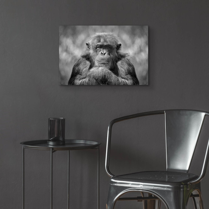 " Chimp " by SD Smart, 16" H x 24" W x 0.2" D