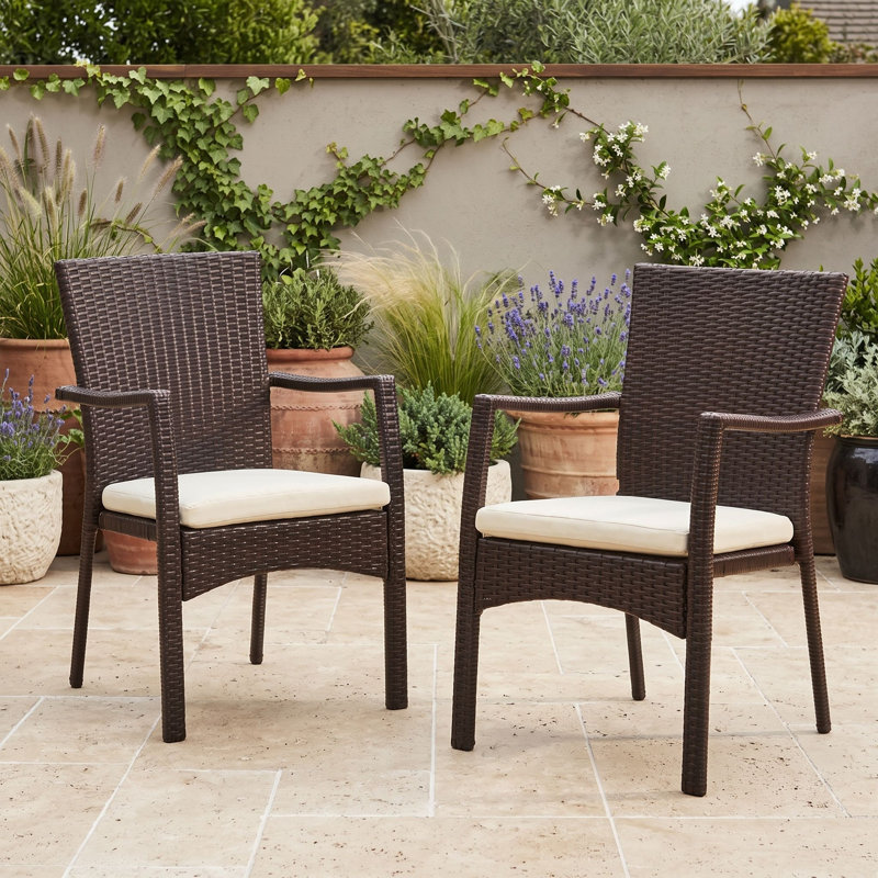 Ensemble de 2 chaises de jardin en osier