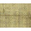 Hand Knotted Wool Area Rug in Green