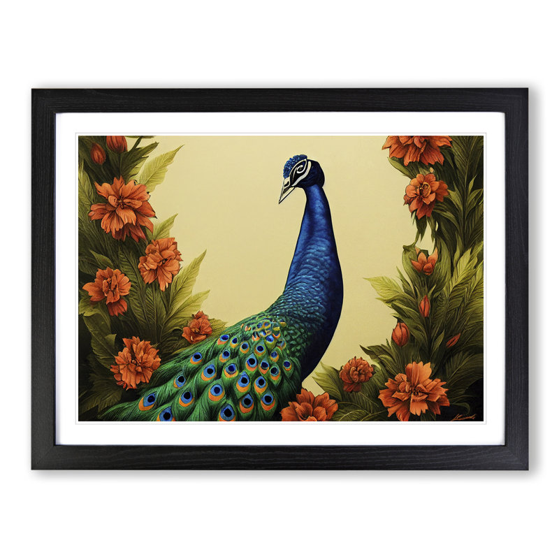 Pleasing Peacock - Single Picture Frame Print, Black Framed, 25cm H x 34cm W x 2cm D