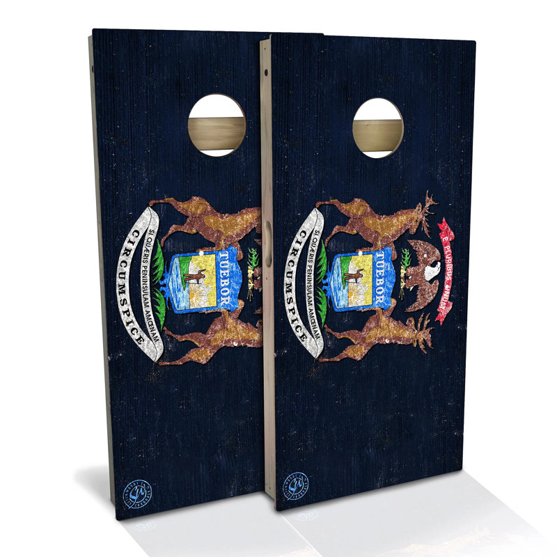Ensemble de 2 panneaux de cornhole 2 'x 4' avec étui et lumières, Michigan