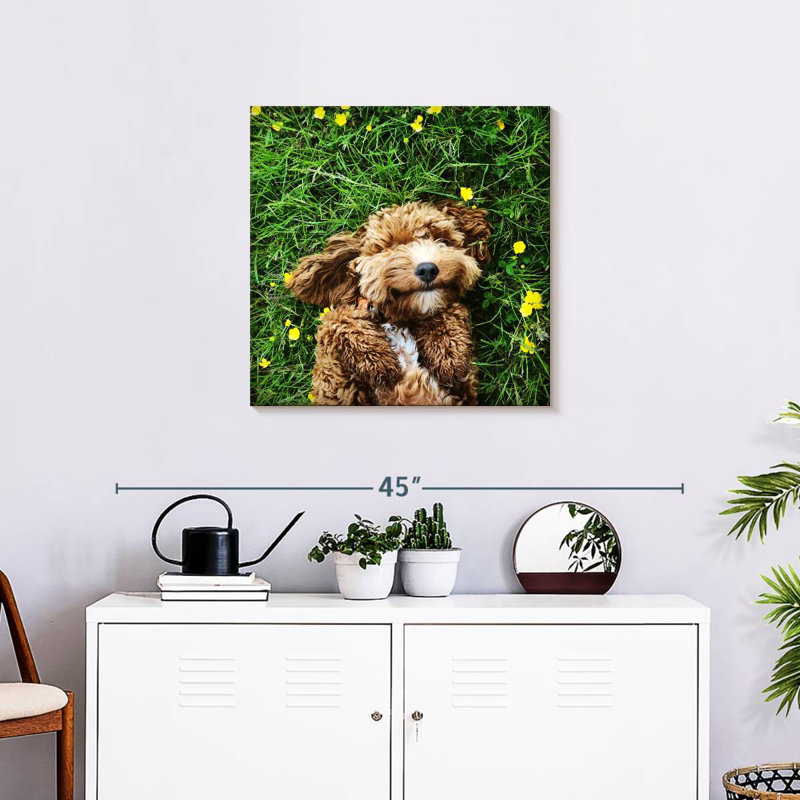 Crowap Happy Cockapoo Dog, H 24 po x l 24 po