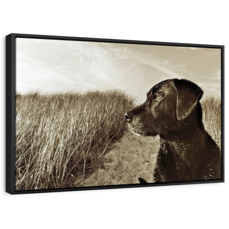 Black Lab At The Beach Canvas Print, 9" H x 13" W