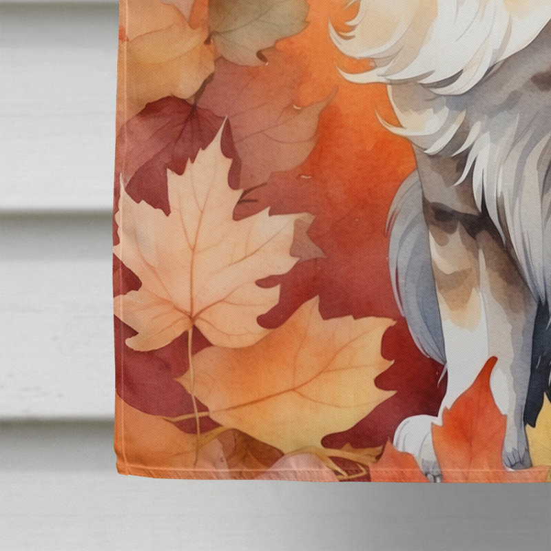 Chat en feuilles d'automne, Oriental Longhair