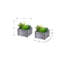 Plante artificielle, ensemble de 2, hauteur de 8 po, plante grasse, pots en bois gris, contemporain, moderne