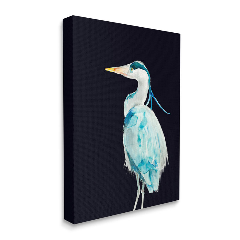 Great Blue Heron - Grand oiseau sur fond noir - impression, Toile tendue, H 48 po x l 36 po