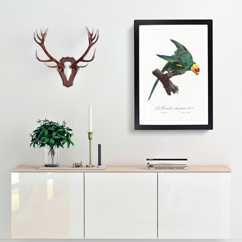 Yellow-Crowned Parakeet by F. Levaillant - Picture Frame Graphic Art Print, 65cm H x 48cm W x 2cm D, Black Framed