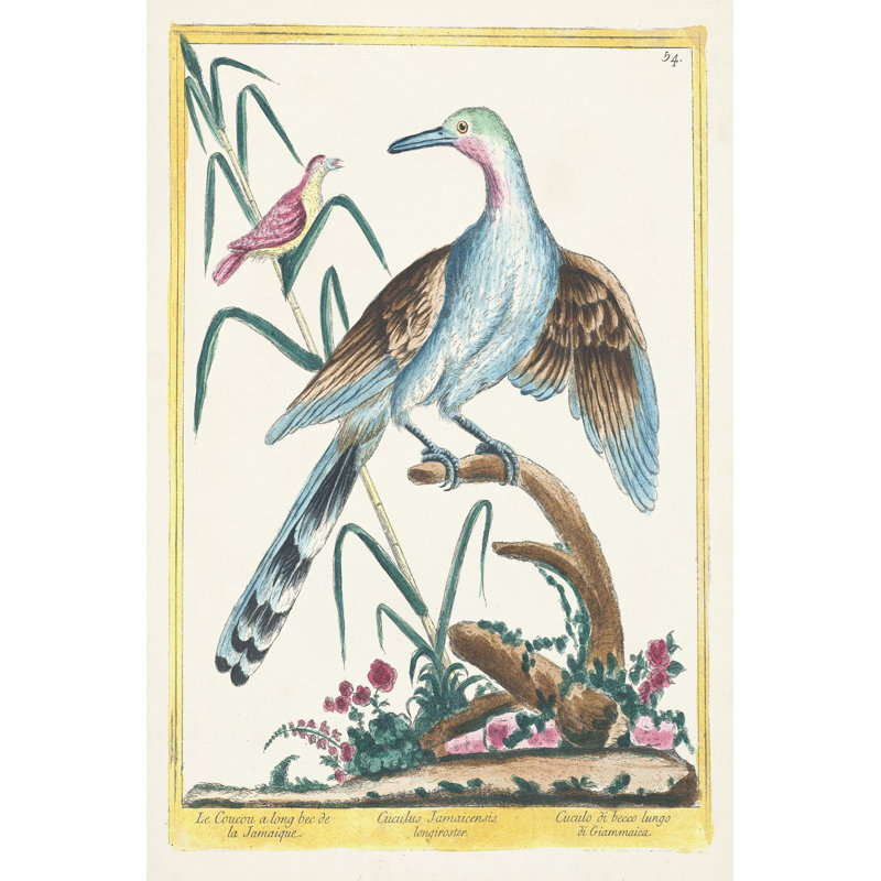Pastel Birds V - Art Prints, Wrapped Canvas, 76 cm H x 51 cm W