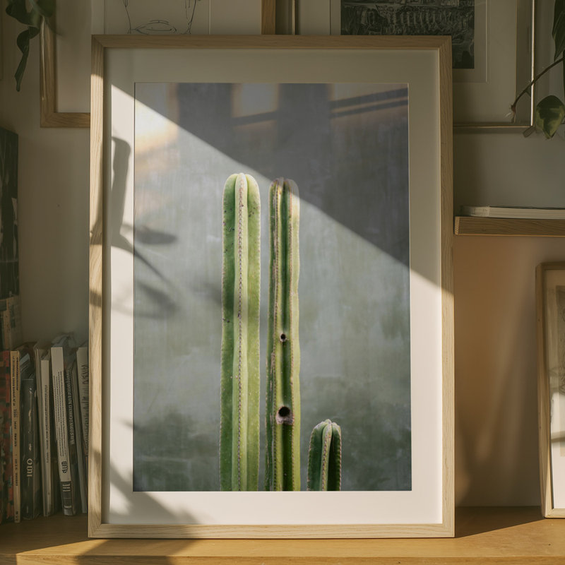 Wrapped Canvas Print, 76.2 cm H x 50.8 cm W