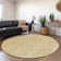 Premium Machine Washable Prisco Gold Rug