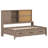 Cara Twin Size Lounge Daybed with Storage Shelves-818993791