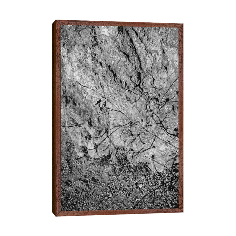 Big Sur Wild Flowers V by Bethany Young - Print on Canvas, 152.4cm H x 101.6cm W x 3.81cm D, Classic Brown Wood Framed