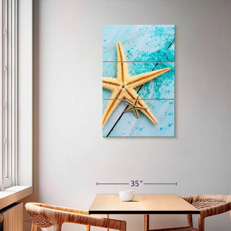 Starfish pair Aletra, H 57 po x l 36 po